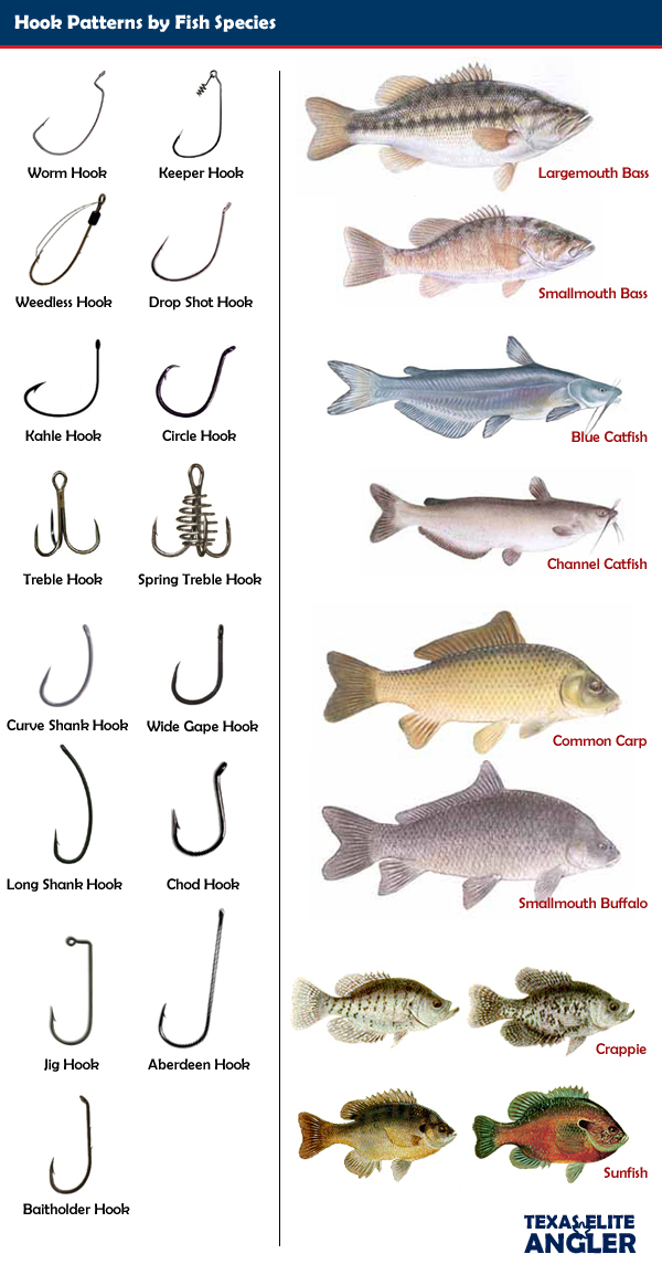Fish Hook Pattern by Fish Species