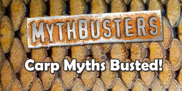 Myth Busters – Carp