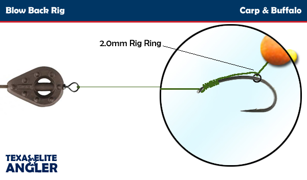 How to tie a Hair rig - Carp rigs - By Angling Iron 